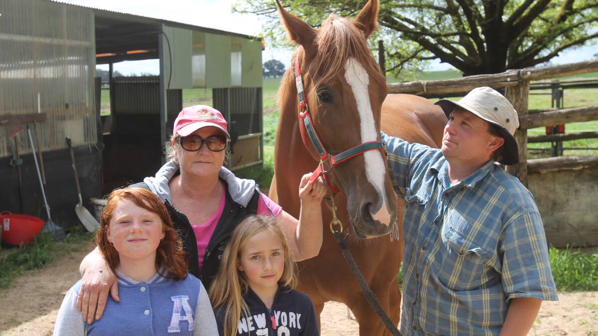 Rob and Trish Anderson with daughter Chloe and family friend Marley Holder tend to racehorse Chloe's Puppet. The Andersons are worried about the precedent the greyhound racing ban sets. 