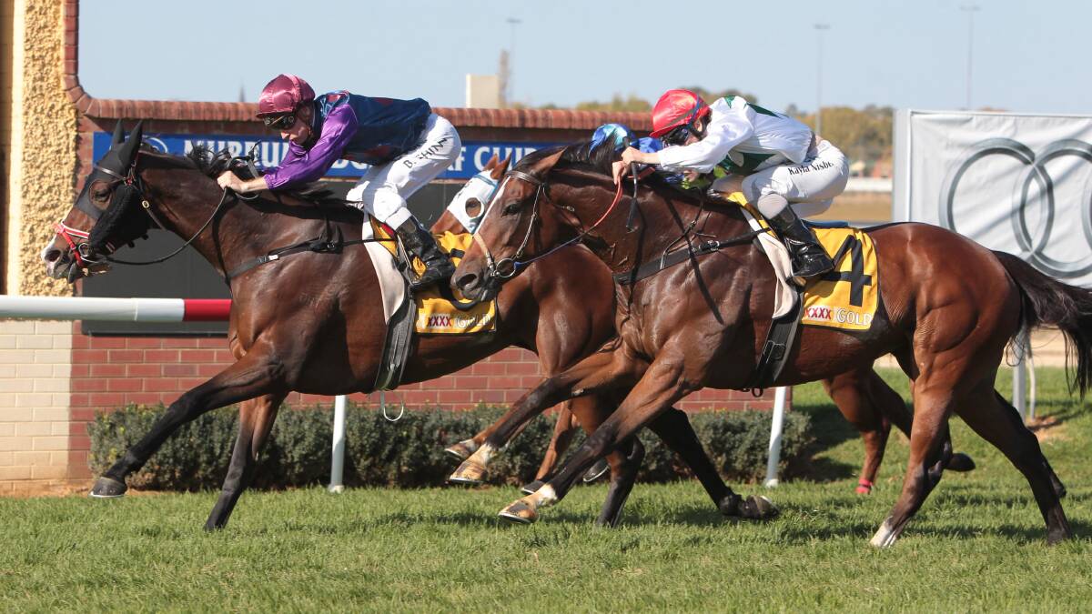 CUP BOUND: Ashtomina (right) runs second on Wagga Gold Cup day. She will run in Saturday's $25,000 Cootamundra Cup. Picture: Les Smith