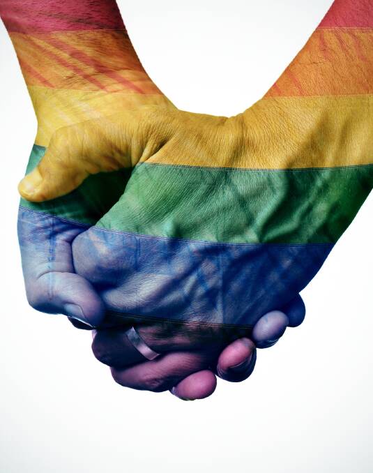 Same-sex marriage plebiscite a big mistake
