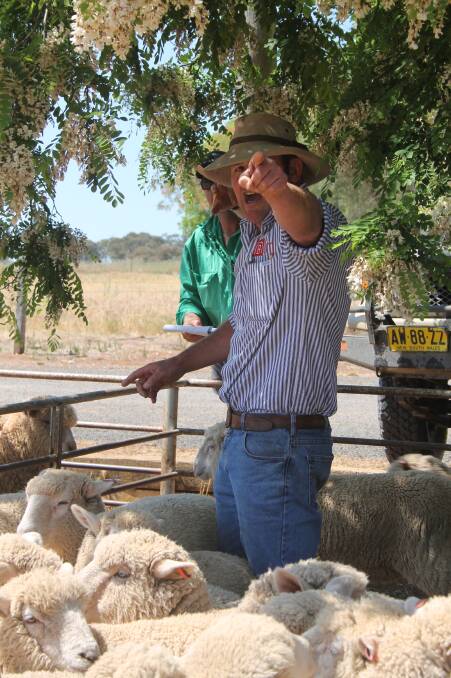 SOLD: Stock agent Lachlan Bassingthwaighte selling at the Cootamundra Saleyards during a regular fortnightly sheep sale. 