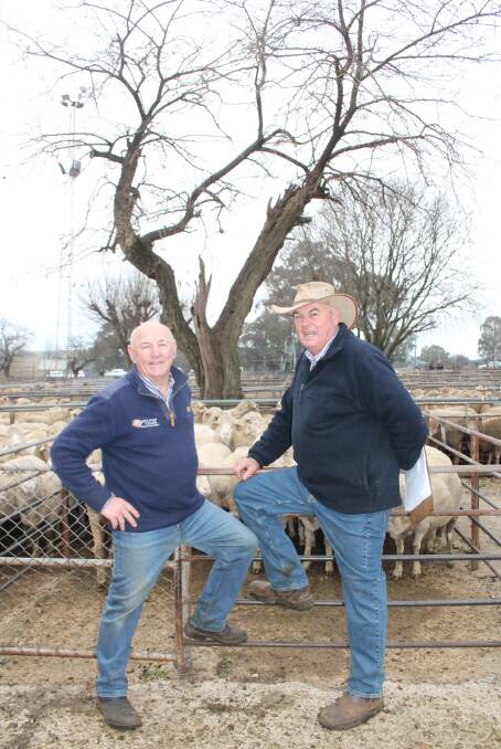 LAST SALE: Holman Tolmie agent Garry James with long-time client Bruce McGregor, of Muttama, at Wednesday's Cootamundra Sheep Sale. Mr James used to deal with Bruce's father Dick in just one example of families he has stood by through the generations. Picture: Jennette Lees  