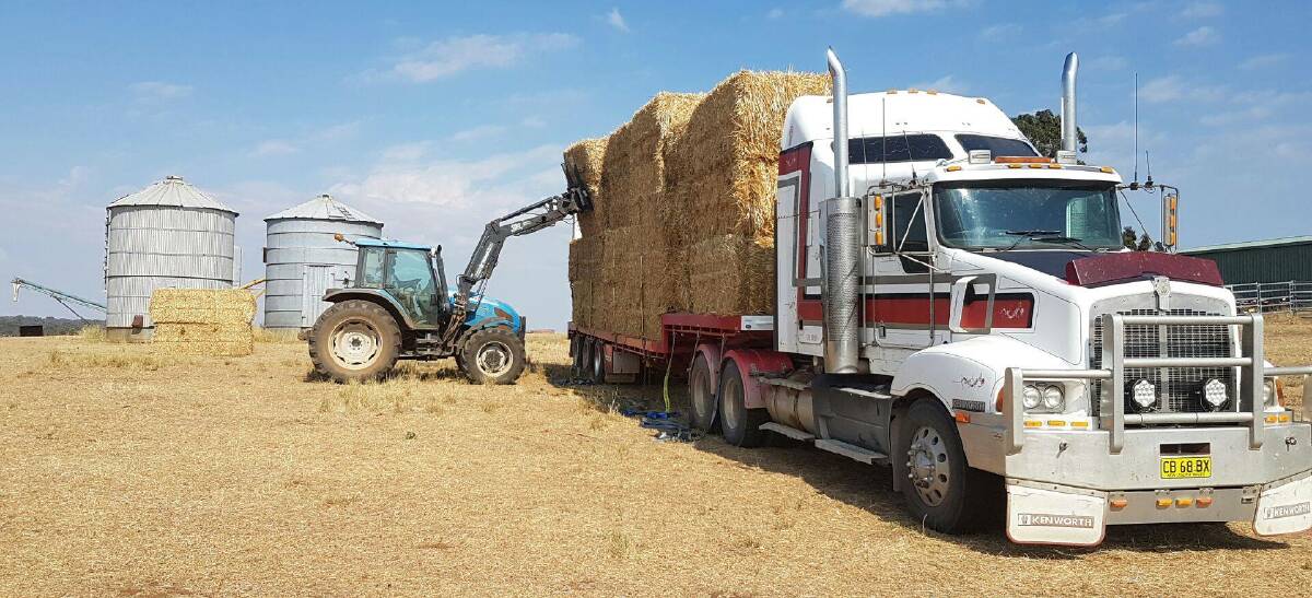 Harden's Matt Ryan unloading the first of the hay in Dunedoo earlier this week.