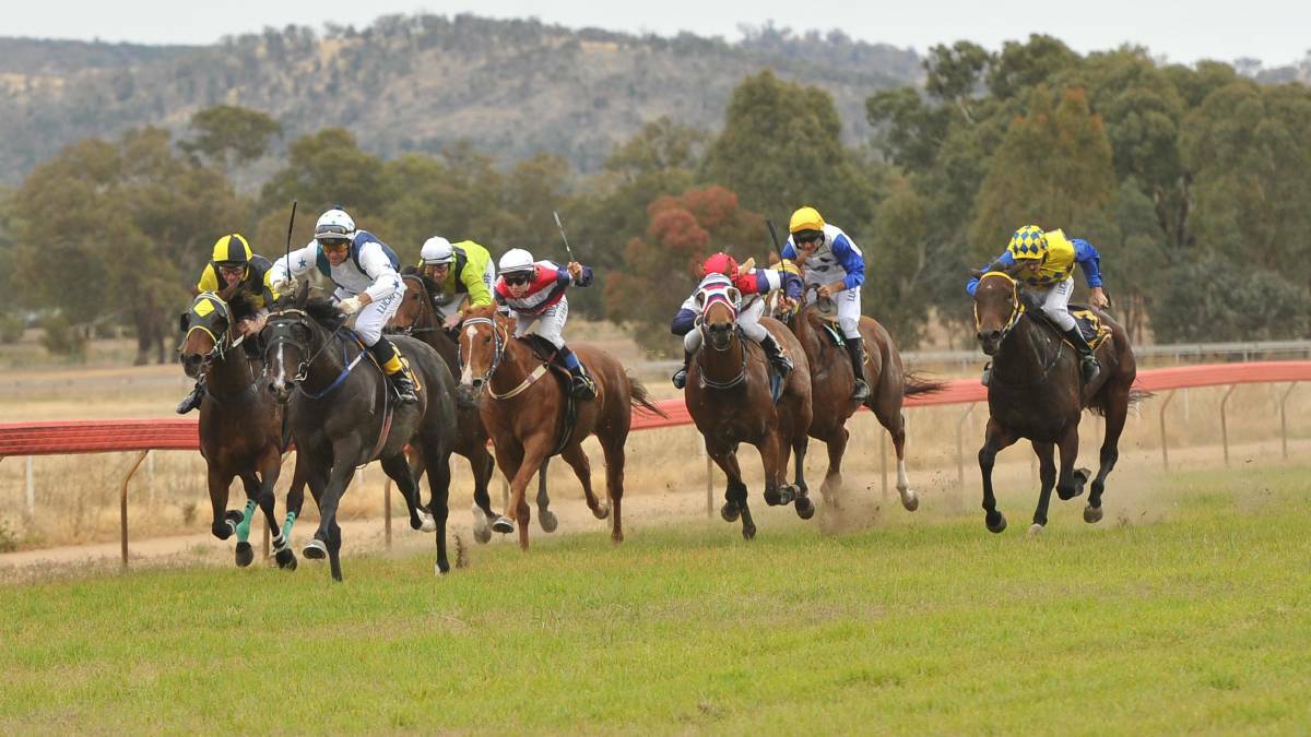 Cootamundra Racecourse will host a bonus meeting this Saturday after it was deemed the Gundagai Racecourse will not be up to standard for racing in time. 