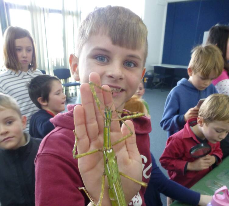 INTEREST ABOUNDS: Jake Winsor at the Cootamundra Library's Travelbugs – Mobile Mini Beast Show last school holidays. Picture: Contributed 
