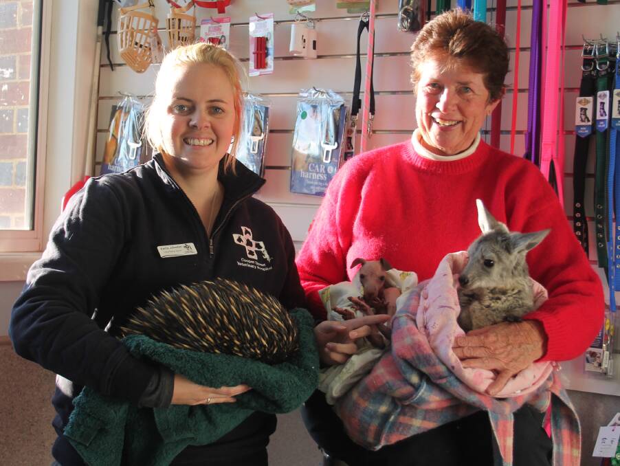 CARERS: Cooper Street Veterinary Hospital's Karlie Johnston and Wildcare volunteer Sandra Latham encourage people to take action if they see a hurt animal. Picture: J Lees 