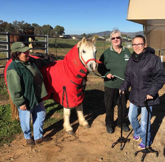 RUGGED UP: Cootamundra RDA pony Buddy shows off his new rug alongside Trish Taylor, RDA (NSW) director Olwen Smith and Tamara Taylor. Picture: CGRC. 