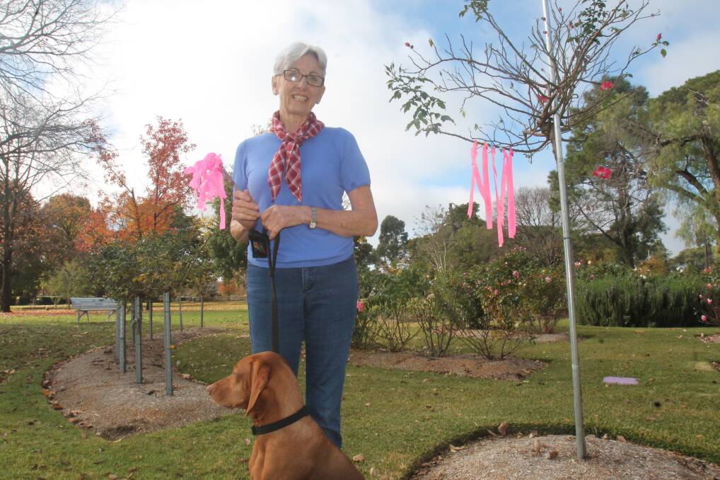 MARKED TERRITORY: Dog trainer Robyn Fowkes and Vision have been placing pink ribbons around Cootamundra in preparation for a tracking competition: Picture: Lachlan Grey. 