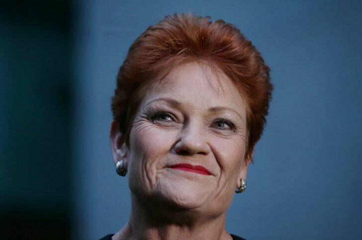 One Nation Senator Pauline Hanson addresses the media during a press conference at Parliament House in Canberra on Tuesday 15 August 2017. fedpol Photo: Alex Ellinghausen
