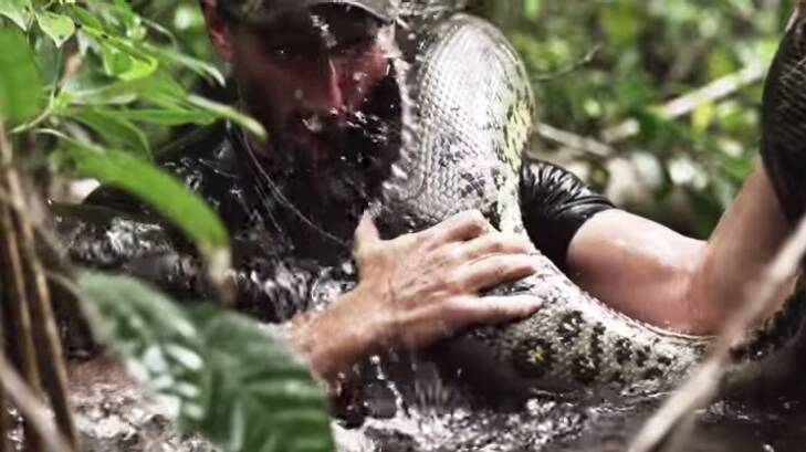 Paul Rosalie holds the anaconda. Photo: Screen grab, The Discovery Channel, YouTube