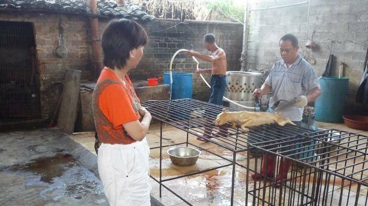 Andrea Gung, executive director of the Duo Duo Animal Welfare Project, visits a slaughterhouse in Yulin. Photo: Duo Duo Animal Welfare Project