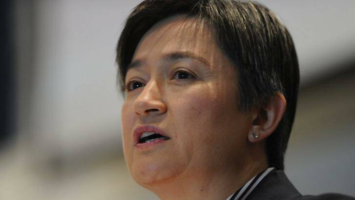 Opposition foreign affairs spokeswoman Penny Wong. Photo: Graham Tidy