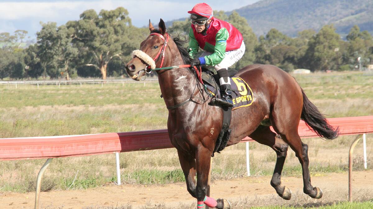 PAST THE POST: Some of the on-track action from this year’s Cootamundra Picnic Races. 