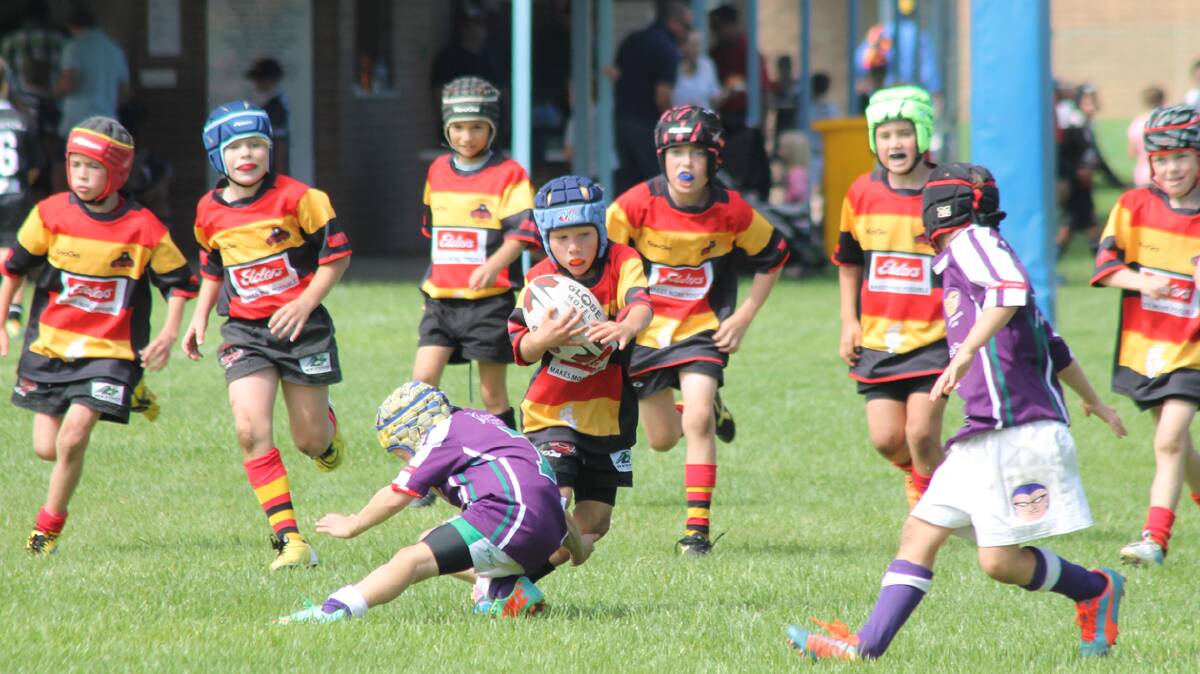 FUTURE RUGBY STARS: It was a terrific day on Sunday as hundreds of little rugby fans took to Nicholson Park and Country Club Oval for the Cootamundra Junior Rugby Union Bears Gala Day. 