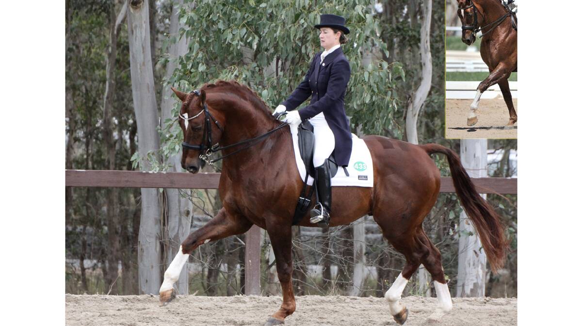 RIDING HIGH: Competitor Amanda Shoobridge with Ferrero Rocher who will star in the Young Dressage Club Championships. 