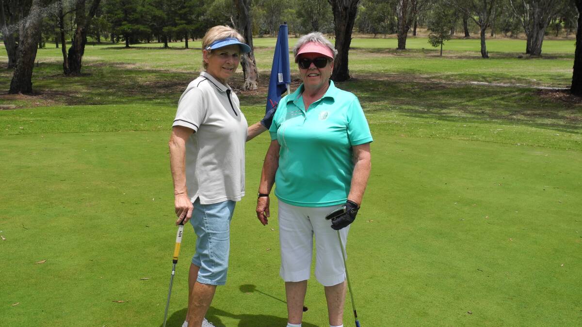 TOP LADIES: Triple C Challenge ladies winner Judy Finkle and runner-up Judy Crick on the eighth hole on Sunday in what has been deemed a great day. 