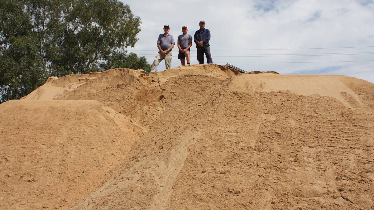  GREAT WORK: Local business Manwarings Industries has been instrumental in the success of the Coota Beach Volleyball Carnival, providing the sand each year free of charge. Pictured atop the mountain of sand are three generations of the Manwarings (from left) Don, John Jnr and John.
