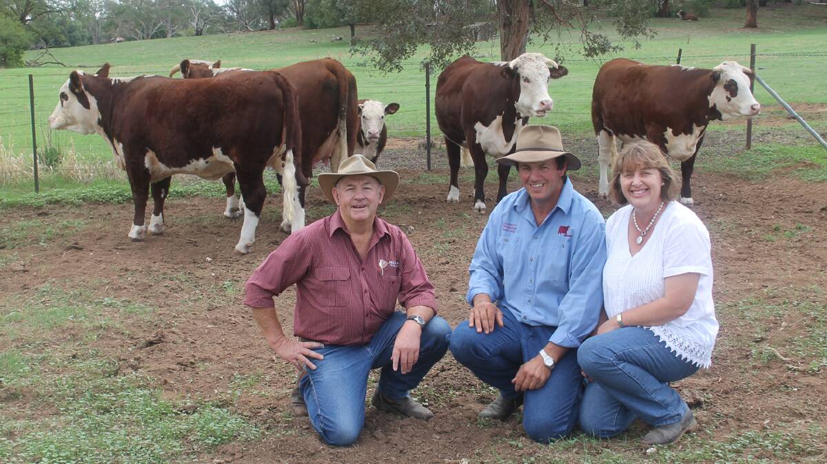  READY FOR SALE: Pictured prior to the annual sale of Hereford and Poll Hereford bulls and heifers at Glenholme, Cootamundra are Holman Tolmie partner and agent Garry James and property owners Geoff and Heather Bush. 