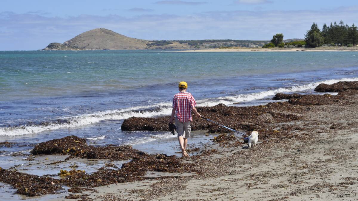 Victor Harbor: Whale watching, walking the dog and enjoying the scenery are just some of the reasons to visit Victor Harbor at any time of year. Picture: Joanne Fosdike.