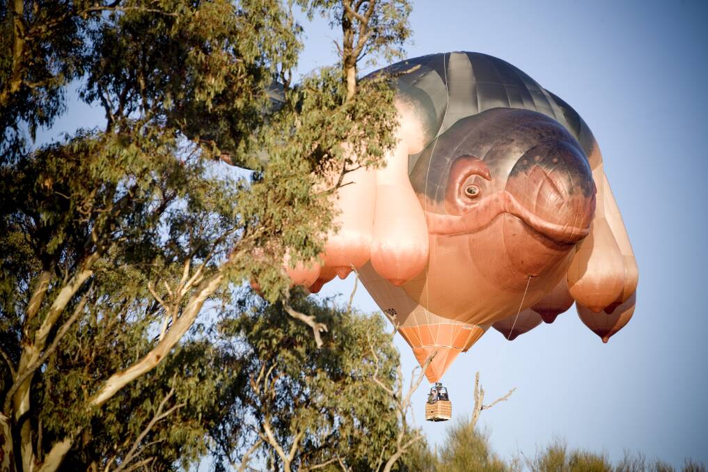 The Skywhale, a hot air balloon sculpture by artist Patricia Piccinini. Photo: Fairfax Media