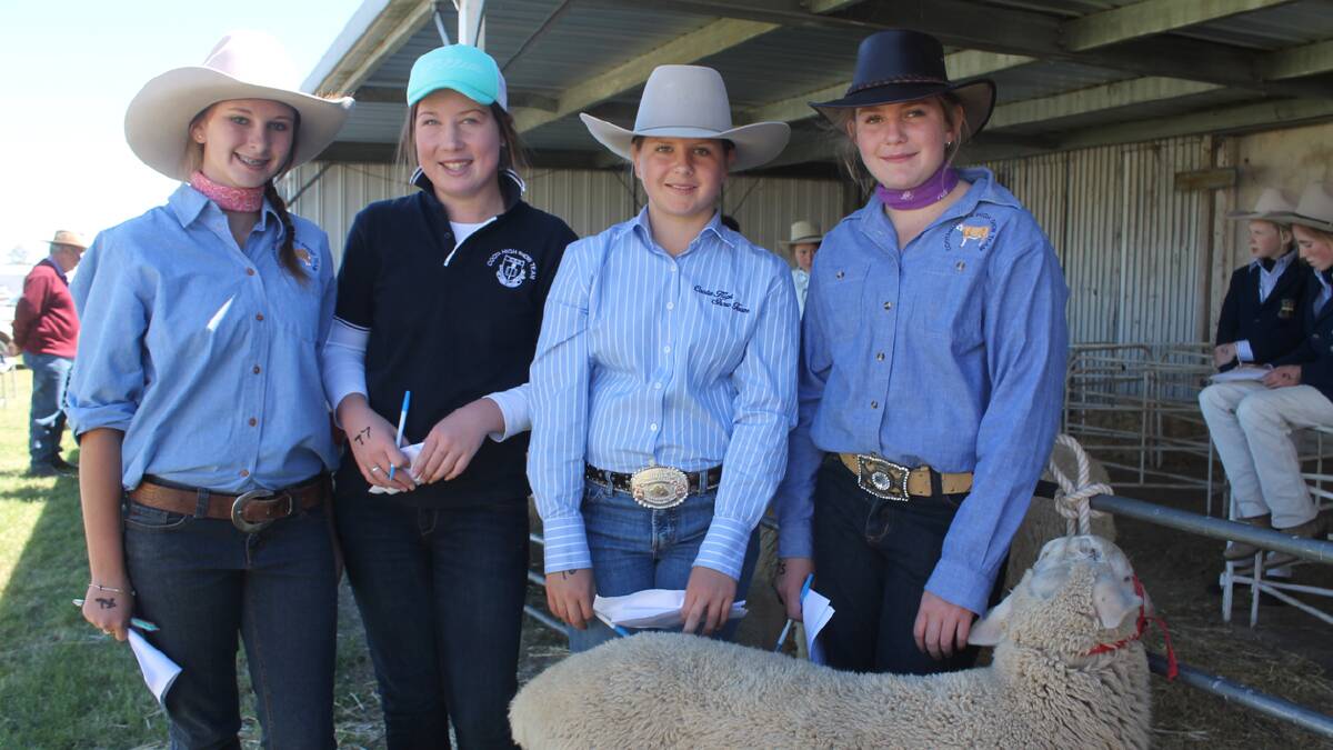  JUDGING: Participating in the junior sheep judging at the Cootamundra Show last Friday were (from left) Azelyn Collins, Madelene Corby, Brooke Dodwell and Kaede Nicka.