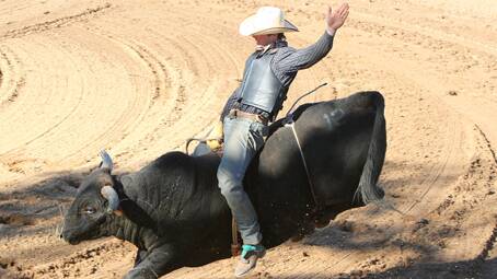  IN ACTION: one bull rider shows how it’s done during the open section of the weekend’s Bull Ride at the Rodeo Grounds.  Photo: Louise Leahy 