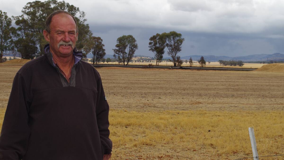  CLOSE CALL: Paul Wittenden, Harefield, said he was very lucky he had chemically cleared the paddock next to his homestead earlier in spring as it had stopped the fire on his Dudauman Road fence line.
