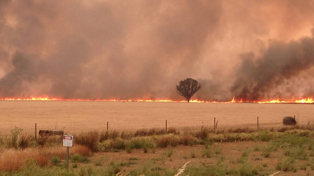 RUNNING FIRE:  Flames raced across stubble paddocks on Wednesday afternoon as the fire came out of the hills.