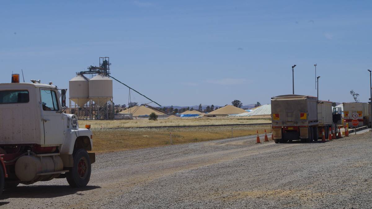 SEASON’S END: Grain deliveries at Grain Flow Stockinbingal are expected to wind up within the week as the dry spring has seen the  harvest season end far earlier than normal. 