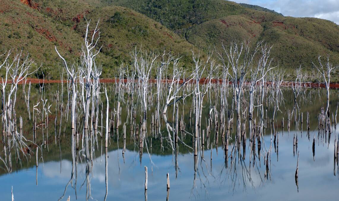 A flooded forest in New Caledonia. Picture by New Caledonia Tourism A flooded forest in New Caledonia. Picture by New Caledonia Tourism