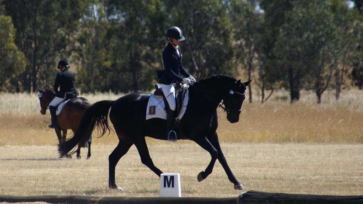 Young Dressage Association Championships starts today