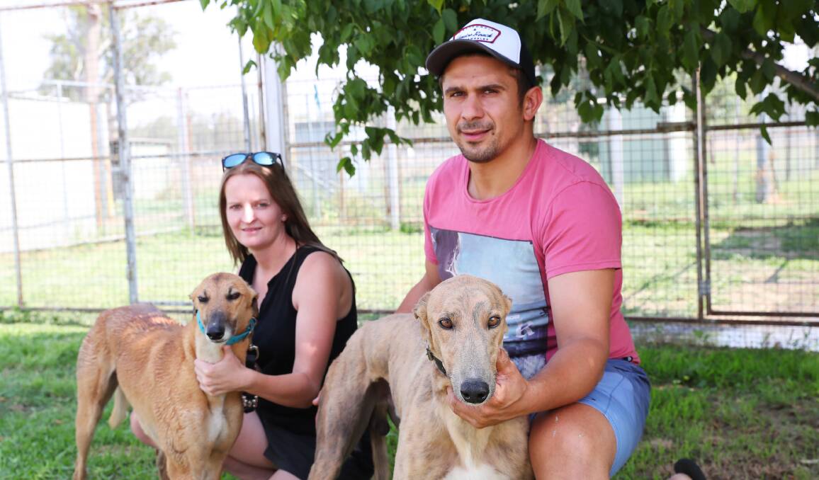 Trainer Clint Colaiacovo secured two victories at Wagga's Friday meeting as did the Wallendbeen kennel of Jack and Lorraine Roy. Picture: Emma Hillier