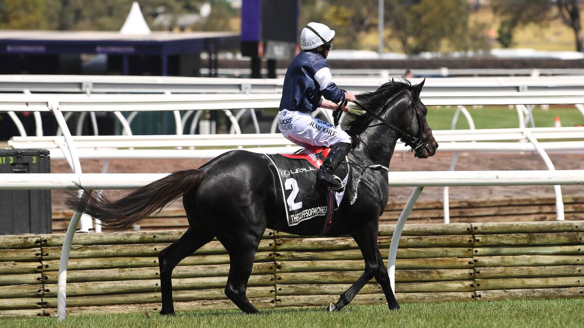 CliffsofMoher was put down after running in the Melbourne Cup. Picture: AAP Image/Dan Himbrechts