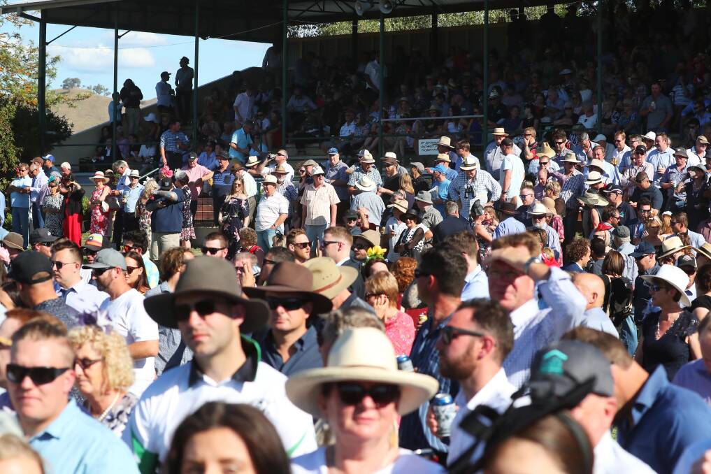 The crowd on Snake Gully Cup day last year. Picture: Emma Hillier