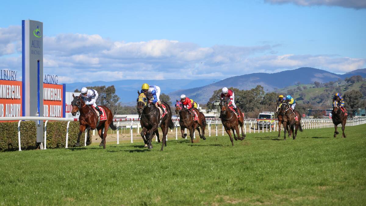 Gentleman Max takes out the Allure Lashes Open Handicap (1400m) at Albury on Tuesday. Picture: The Border Mail