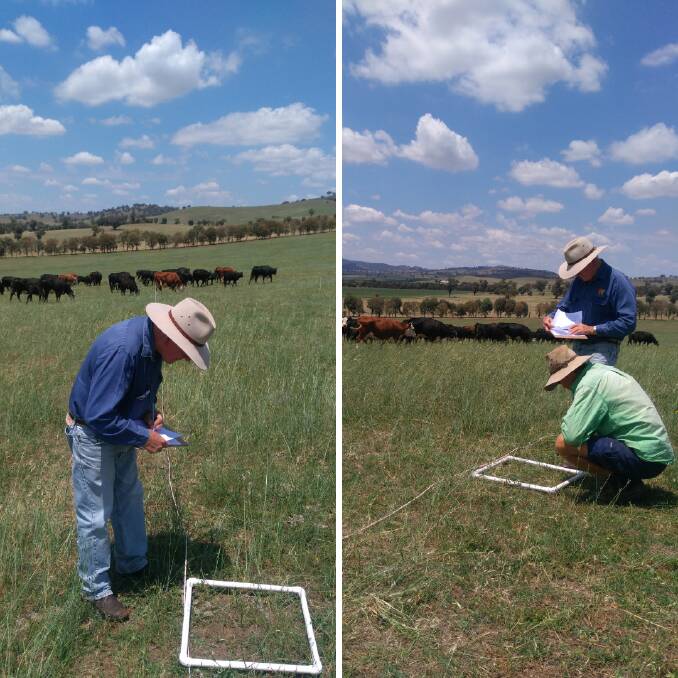 Sustainability assessor Brian Marshall conducts tests on Riverina properties late last year. Picture: supplied