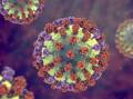 BACK AND BIGGER THAN EVER: Illustration of an influenza virus particle. Picture: Kateryna Kon / Science Photo Library / Getty Images.