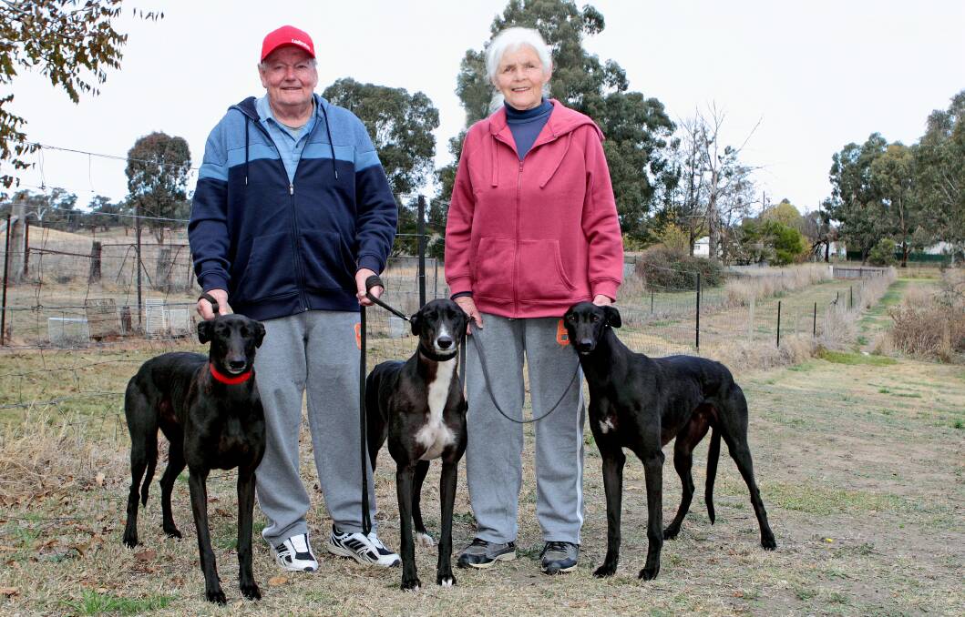 BIG SHOT: Wallendbeen couple Jack and Lorraine Roy will line up Gunshot Ridge, Charlie’s Chance and Barbie’s Chance in the Graeme Hull Memorial Wagga Cup on Friday. Picture: Kelly Manwaring 