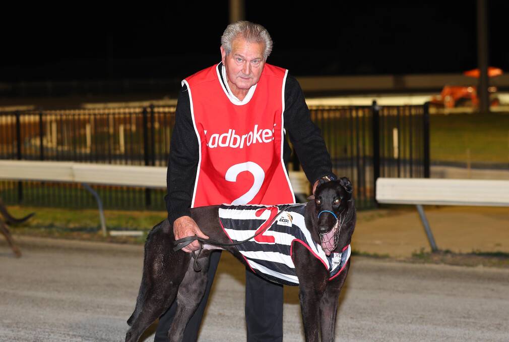 HOT STREAK: Cootamundra trainer Terry O'Keefe is looking for more success with Al's Desire, pictured, at Wagga on Friday night.