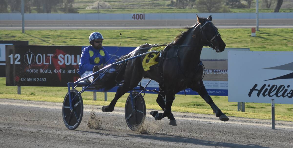 Mister Rea is out to make it a perfect seven wins at Riverina Paceway on Tuesday.