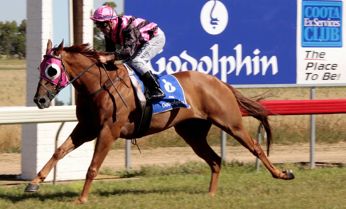 CRUISING TO THE LINE: Murdoch's Joy scored a dominant win in the Godolphin Cootamundra Cup on Saturday. Picture: Kelly Manwaring