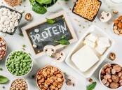 There's a plentiful universe of protein-rich foods that don't come from a cow. Picture Shutterstock