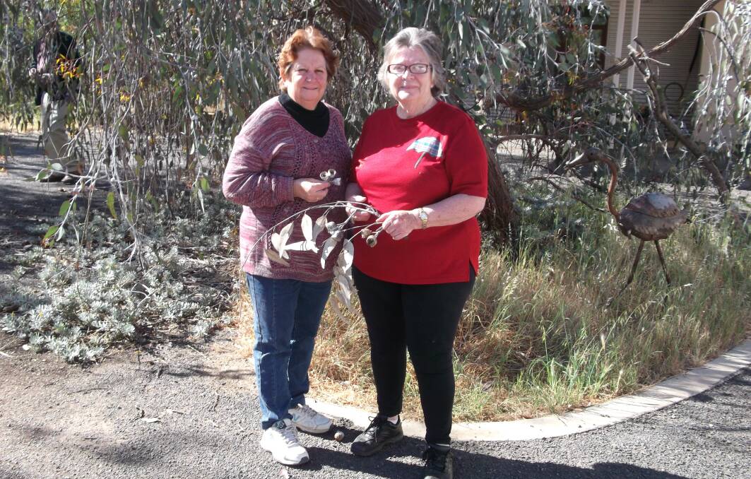 Bernie Wilson and Marj Smith visited Alan East's garden with the Cootamundra Garden Club.
