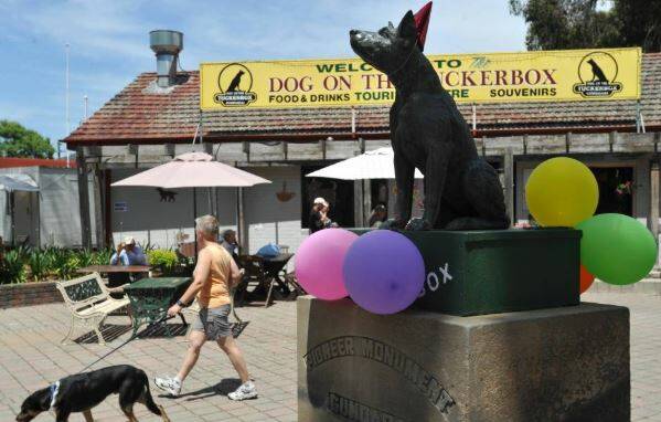 Grand plans for Dog on the Tuckerbox site