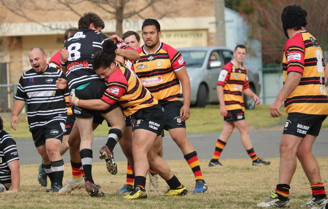 Cootamundra's Daryl Hemopo is high up in this year's player of the year awards for the South West rugby competition.