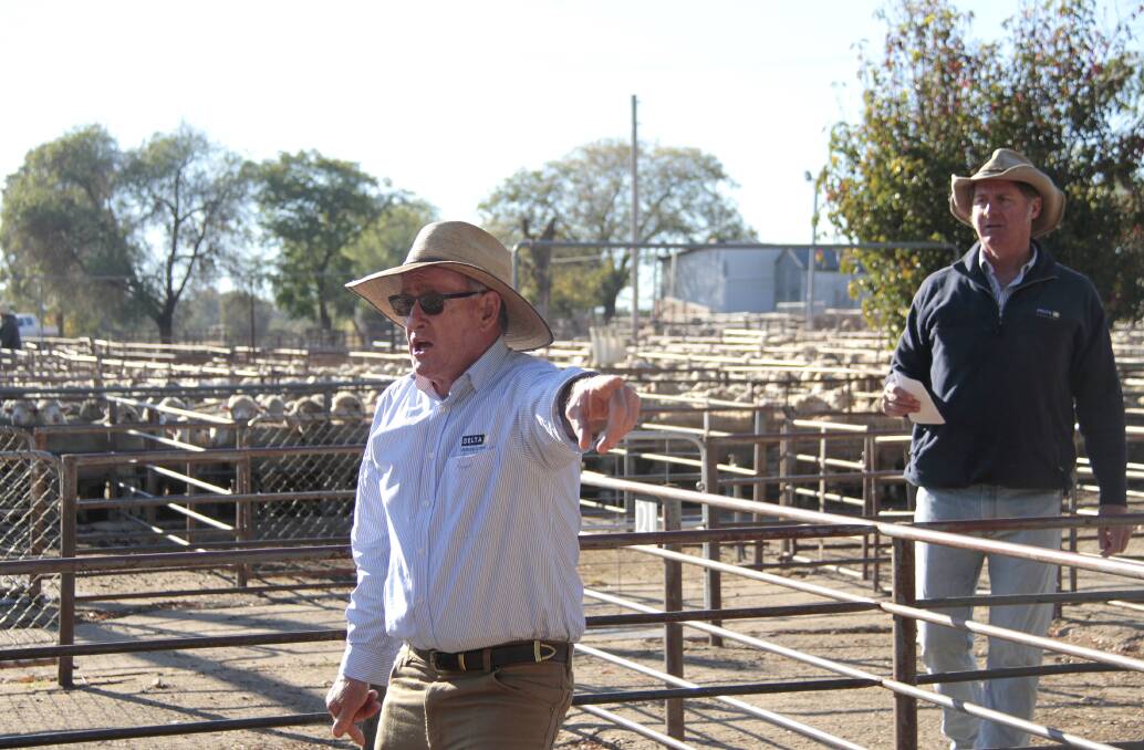 SALE DAY: Auctioneer Cole Harris and Andrew Adams of Delta Livestock and Property at a Cootamundra Saleyards and Associated Agents sale earlier this year. Picture: Kelly Manwaring