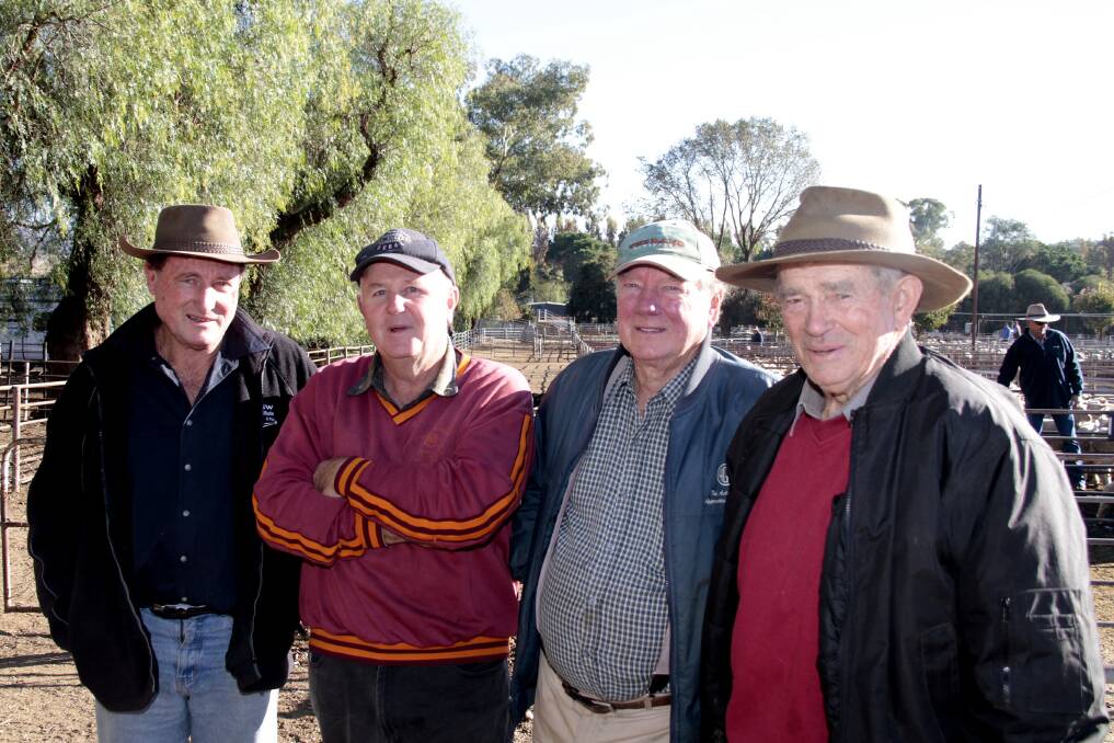 CATCH UP: Mark O’Connor, Mick Raleigh, Ron Latham, of Young, and Arthur Schofield at the sheep sale recently. Picture: Kelly Manwaring
