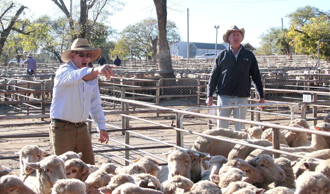 GREAT DAY FOR IT: Auctioneer, Cole Harris, and Andrew Adams, of Delta Livestock and Property, at this week's sale. Picture: Kelly Manwaring
