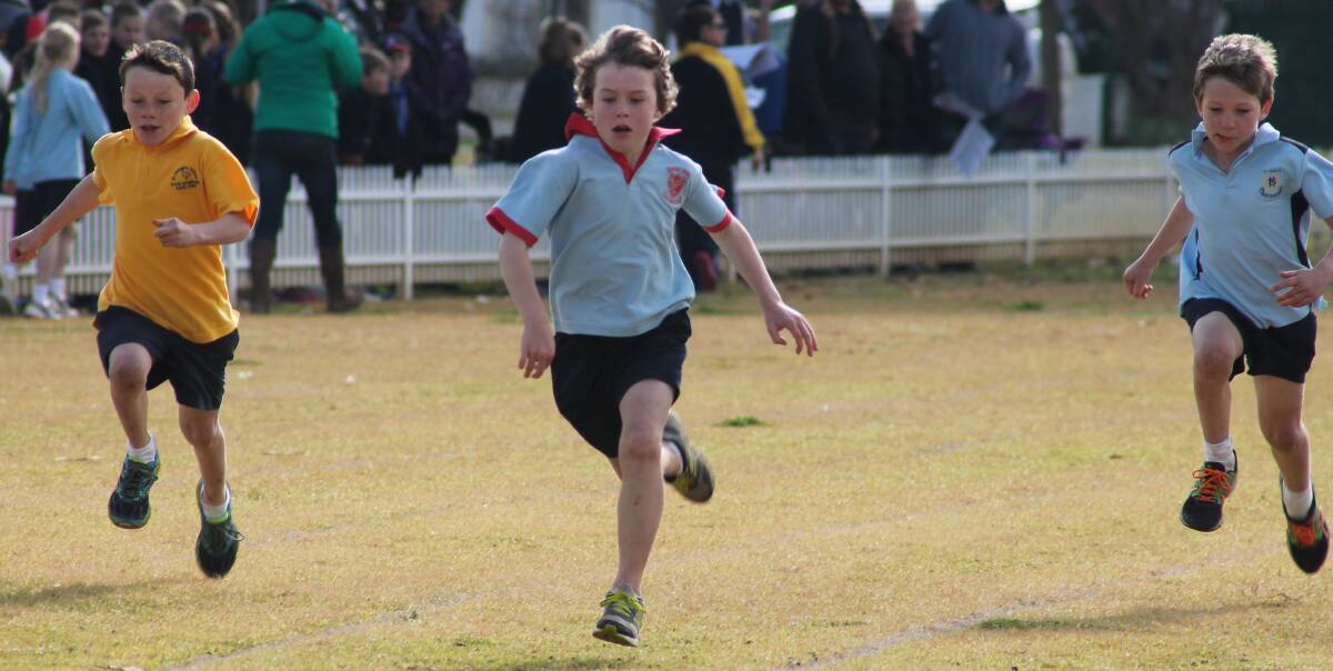 RUNNING HARD: Sacred Heart Central School's Ned Murray (centre) stretches out during one of the running races staged over the course of the day. Picture: Jennette Lees 