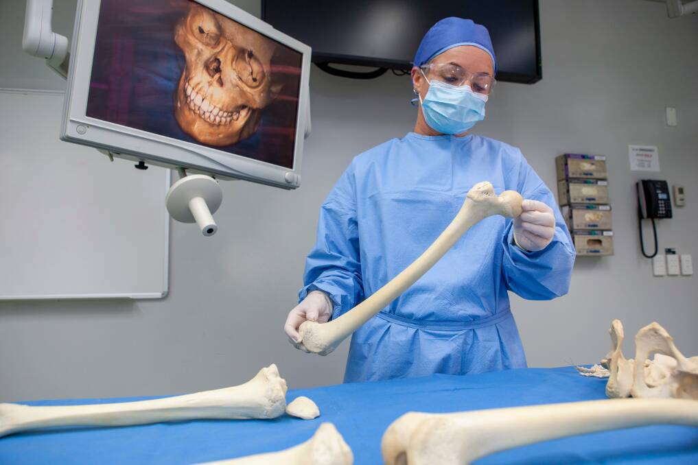 DNA specialist Professor Jodie Ward examines skeletal remains at the AFP laboratory. Picture: AFP 