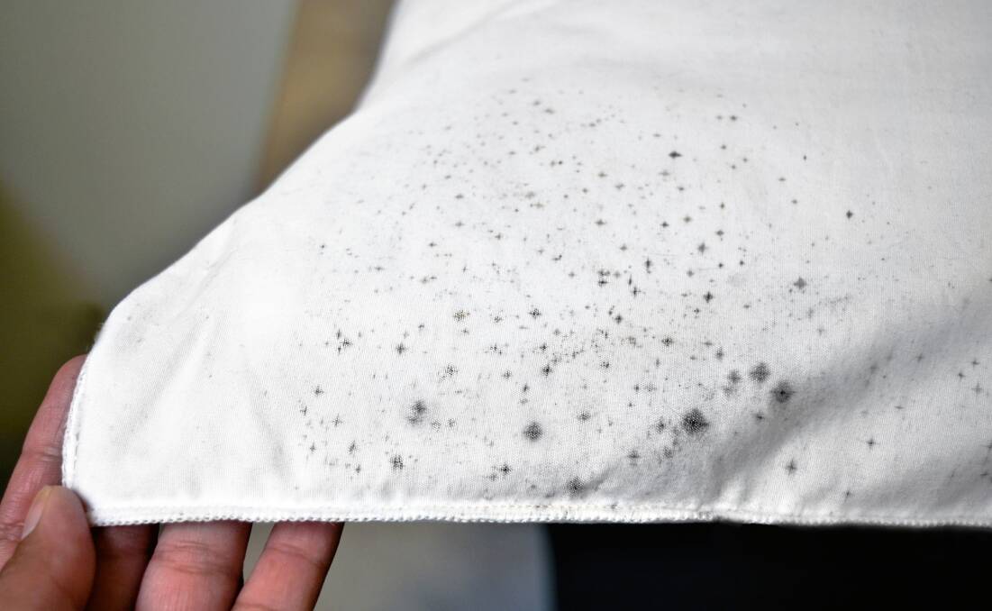 Breaking the mould: Killing mould spores is relatively easy, but getting the stains out can be tricky.